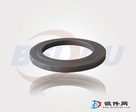 304 316L精模鍛不銹鋼
