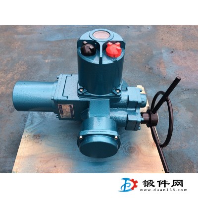 Q400-0.5W/T 調(diào)節(jié)型電動(dòng)裝置